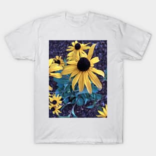 Black Eyed Susans T-Shirt